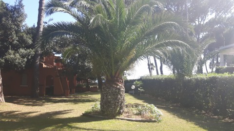 Villa Enea