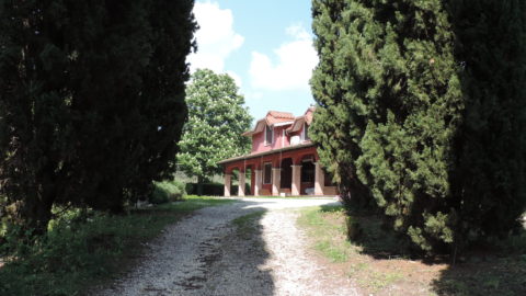Il Ducale Farmhouse